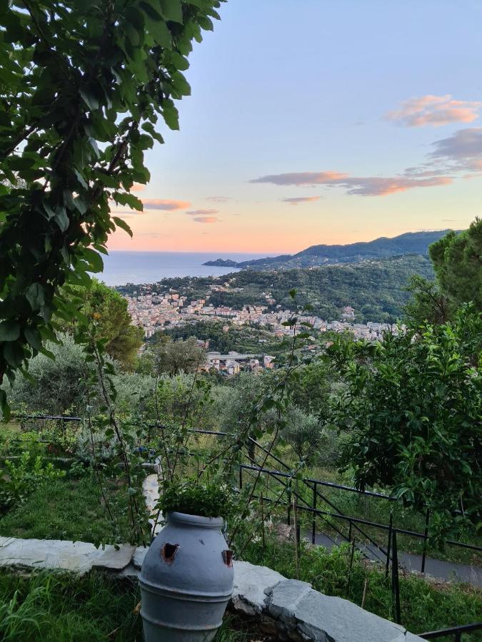 Vista Mare Portofino By Portofinovacanze Gravero Εξωτερικό φωτογραφία
